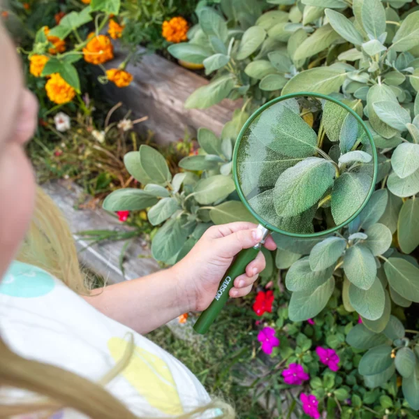 Una persona sostiene la lupa infantil de gran tamaño Carson HU-20 Serie BigEye™ 2x sobre hojas de salvia verde en un jardín con flores coloridas.