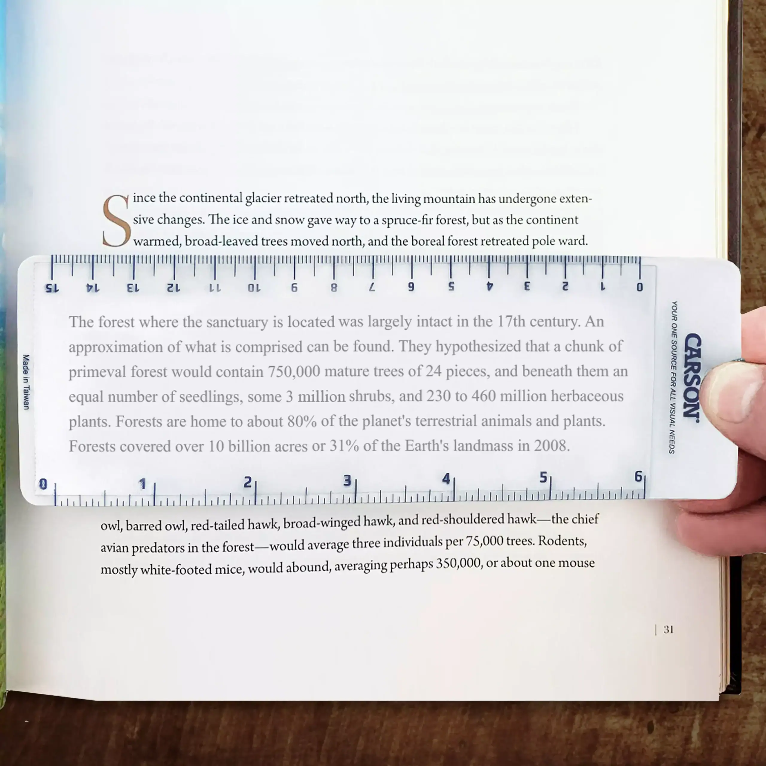 Una mano sostiene una lupa marcador con regla Carson MM-22 MagniMark™ 3x tipo Fresnel de 6" (15,2 cm) sobre una página de libro abierta, donde se observa texto resaltado por encima de la regla.