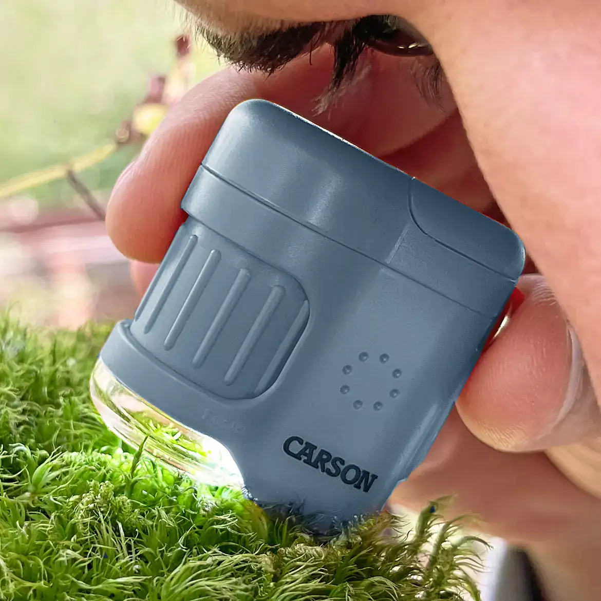 Una persona utiliza el Microscopio de bolsillo Carson MM-280B MicroMini™ 20x con luz UV y linterna LED, diseño compacto en color azul, para observar cerca de musgo verde.