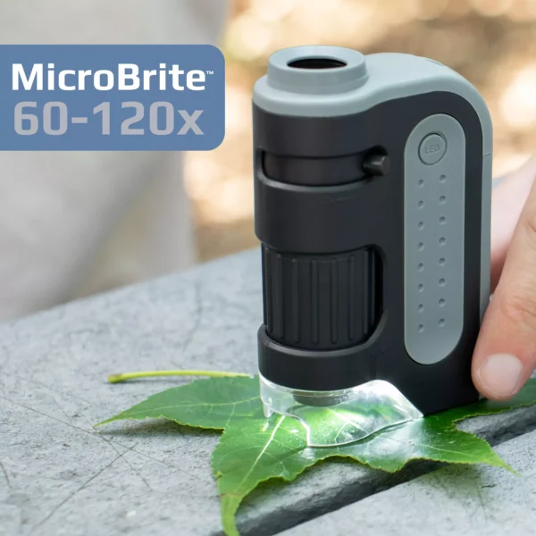 Microscopio de bolsillo Carson MM-300 | Serie MicroBrite® Plus 60x-120x con iluminación LED brillante y diseño portátil para proyectos STEM