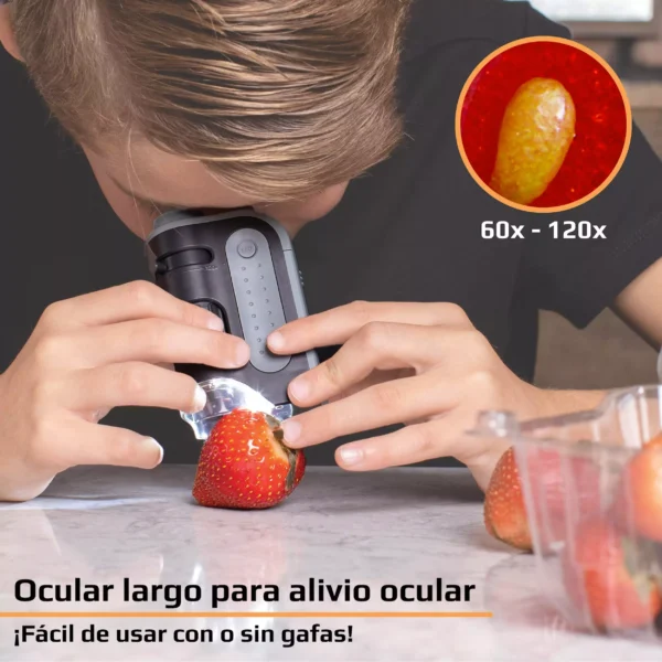 Microscopio de bolsillo Carson MM-300 | Serie MicroBrite® Plus 60x-120x con iluminación LED brillante y diseño portátil para proyectos STEM - Imagen 3