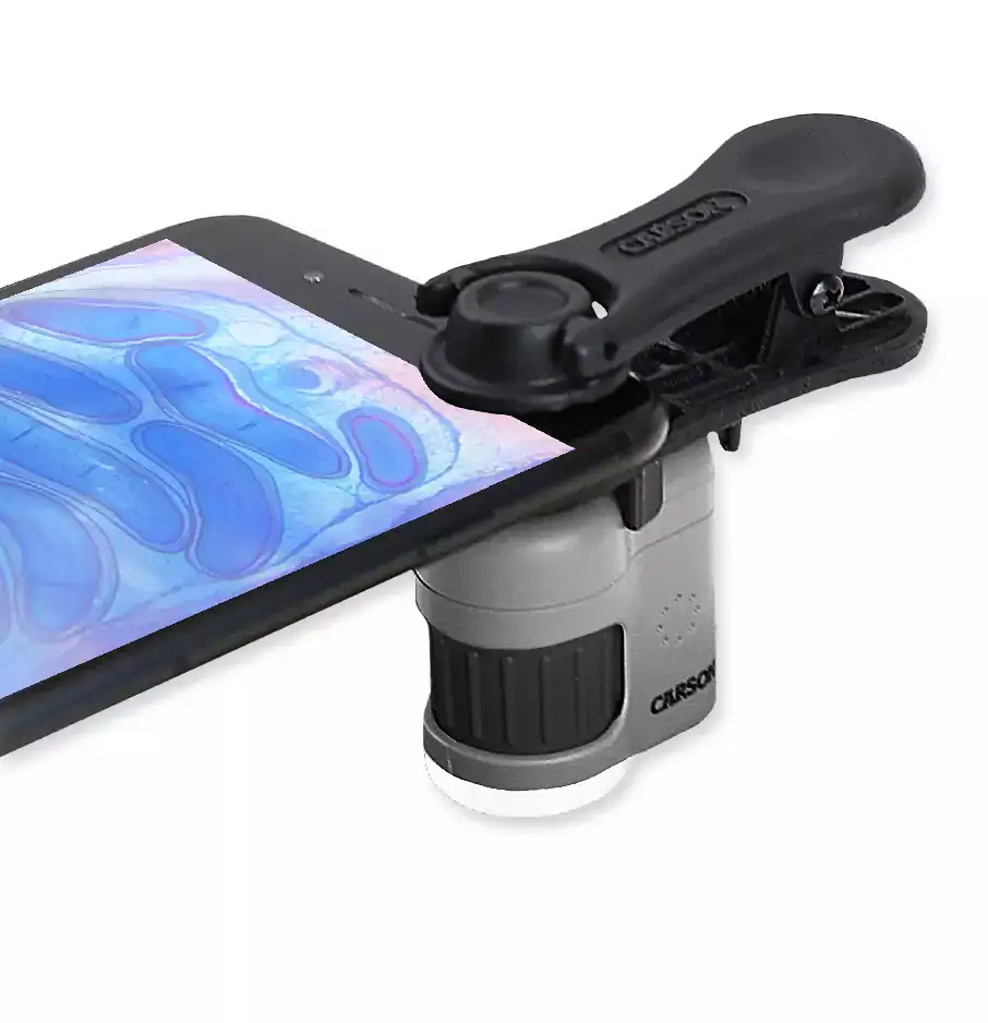 El microscopio de bolsillo Carson MM-380 Serie MicroMini™ 20x, con iluminación LED y UV, se acopla a un smartphone para mostrar imágenes ampliadas y claras en la pantalla gracias a su diseño portátil y fácil de usar.