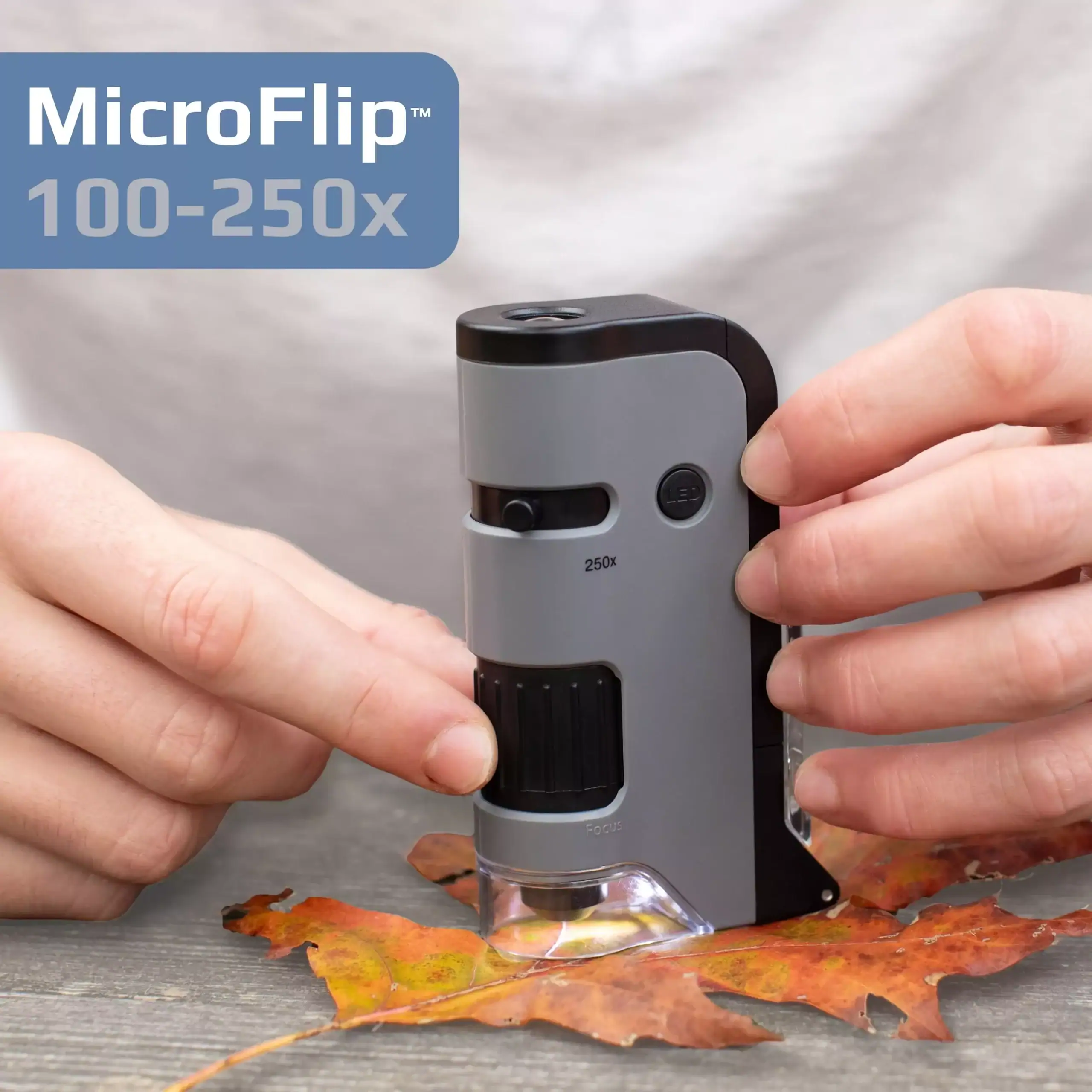Una persona utiliza el Microscopio de bolsillo Carson MP-250 Serie MicroFlip™ 100x/250x con iluminación LED y adaptador para teléfono inteligente para examinar una hoja marrón sobre una superficie de madera.